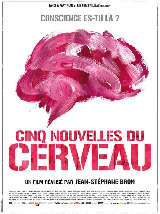 CINQ NOUVELLES DU CERVEAU